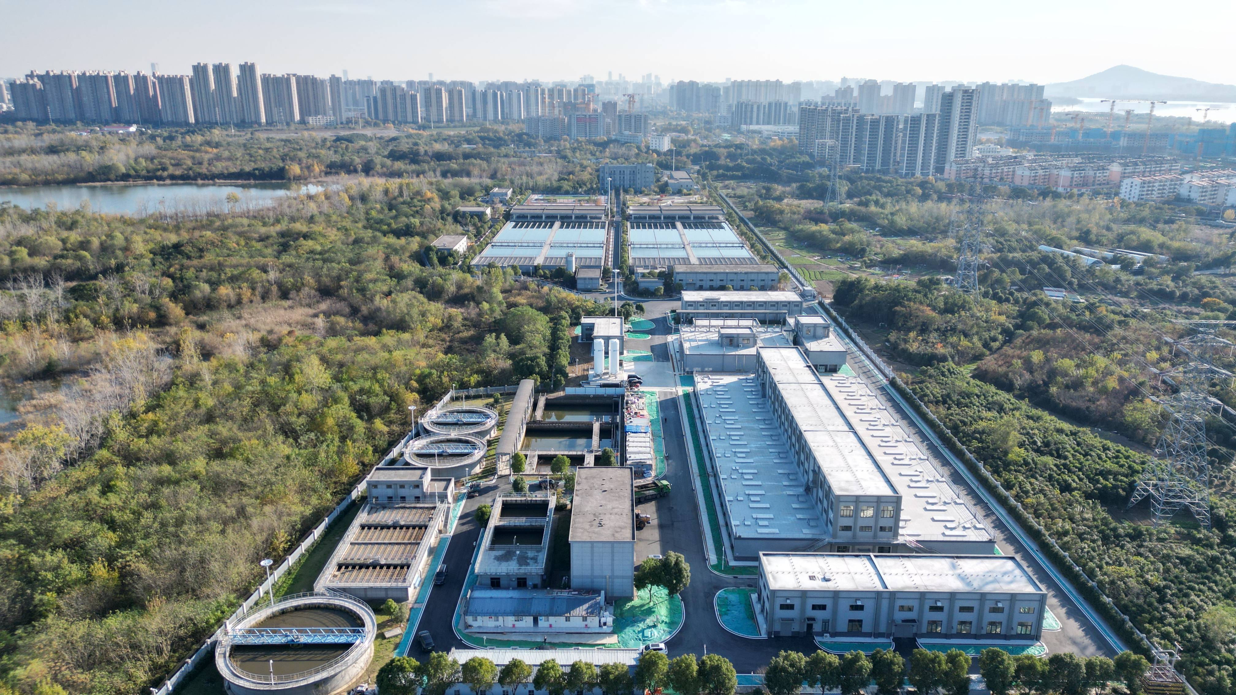 沈阳市合肥专业企业价值增长(合肥市重点企业产业目录)