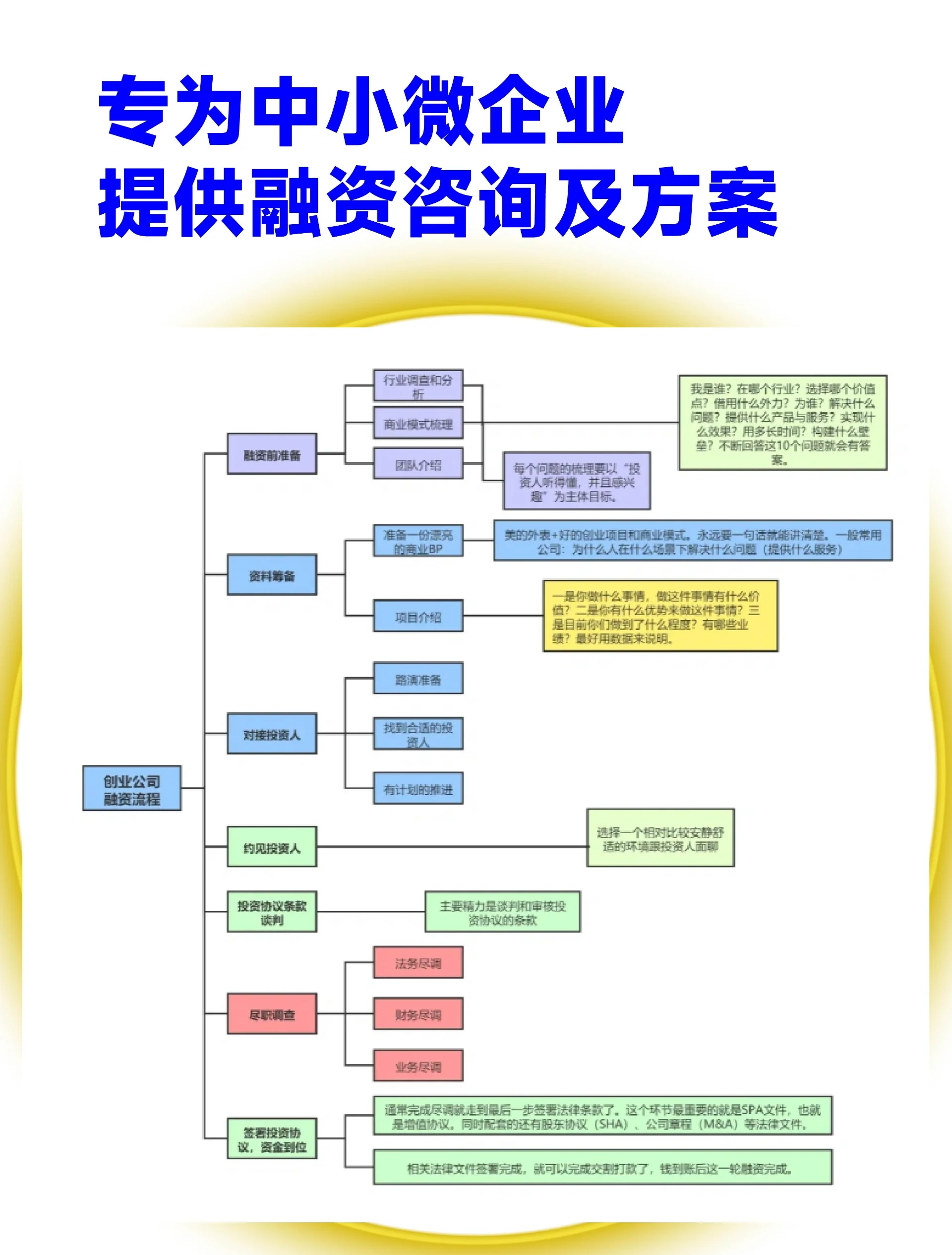 沈阳市宠物企业资金管理(宠物管理机构叫什么)
