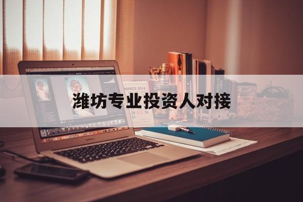 沈阳市潍坊专业投资人对接(潍坊专业投资人对接中心)