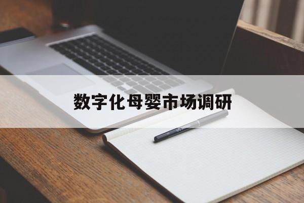 沈阳市数字化母婴市场调研(数字化母婴市场调研报告)