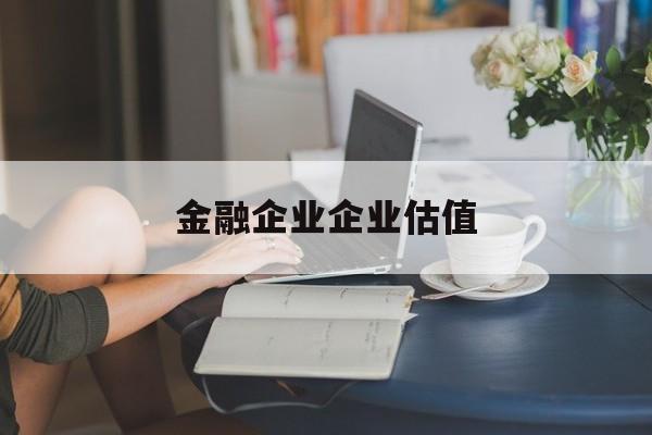 沈阳市金融企业企业估值(最新企业估值怎么填)